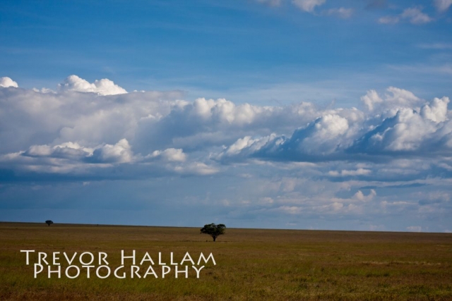 The Serengeti Tanzania