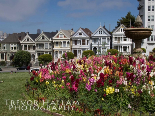 Painted Ladies, San Fransisco